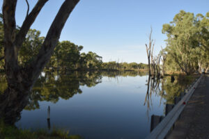 Positive response to waterfront plans