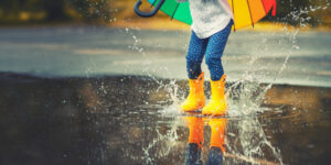 Wet end to dry autumn with ‘typical’ rain predicted