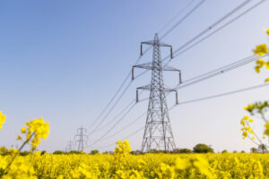 Farmers voice concern over transmission licence