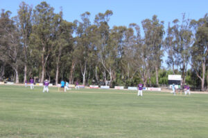 Northern District cricket clubs face 10-a-side rule