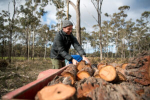 Season firewood options lacking
