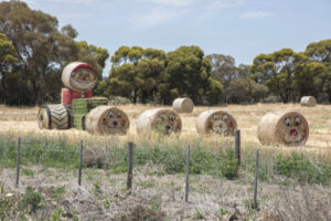 Hay, is that Santa
