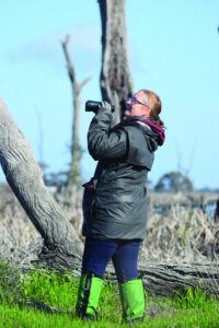 Wetlands tourism potential