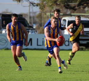 Tigers to bite into hot Pies