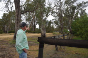Murrabit couples property pain