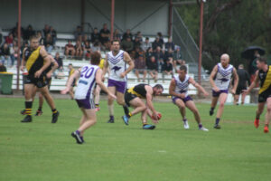 Ferocity of Tigers