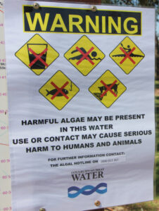 Heat spreads toxic blooms