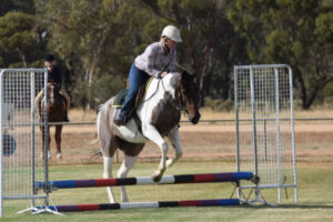 Horses reign, spirit intact