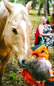Harmony with horses