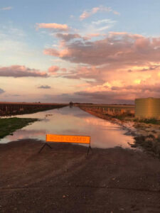 More crops moisture