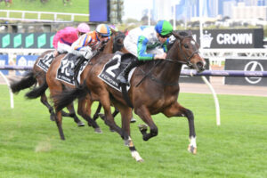 McNeil in a Hurry