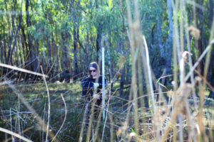 Reed Bed Swamp returning to health