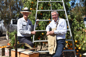 Election promise for Murrabit Market