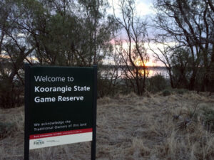 Nature day at Koorangie Marshes