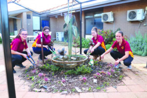 Creative fundraising initiative