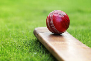 Wandella Cricket results