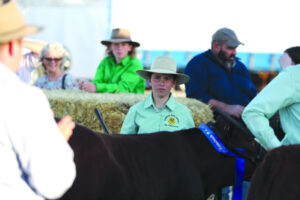 Show success