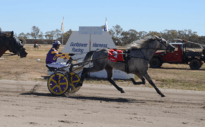 Trotting into 100th year