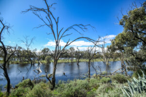 Assessing waterway damage
