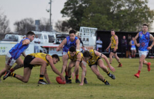 Tigers shake off Demons