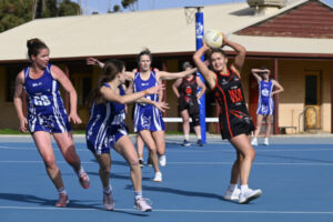 Lions hang tough as Swans swoop
