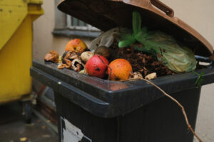 Green bins for organic waste from July 1
