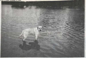 Town pumping follows wettest October day – October 8, 1993