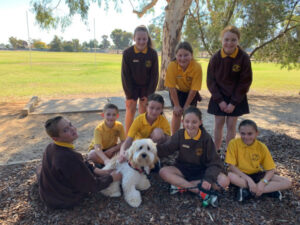 Louie the school dog improves student wellbeing at Kerang South Primary School