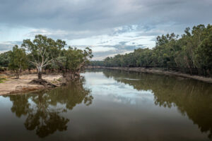 Policy ‘threat’ to species