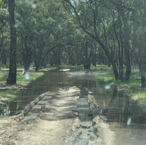 Hoon patrols for Gunbower