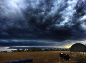 Low pressure, high rainfall