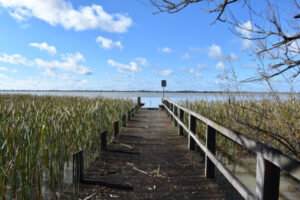 2022 in Review – June – Jetty for Kangaroo Lake