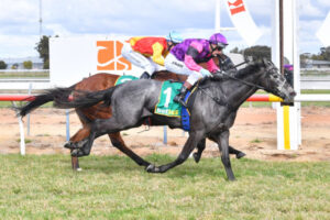 Turf club in high demand