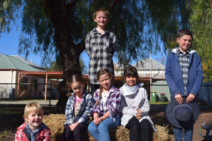 Students buy a bale