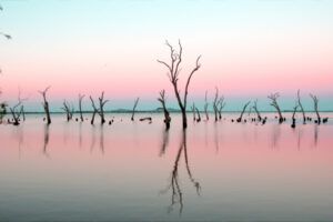 Algae warning for Ghow Swamp