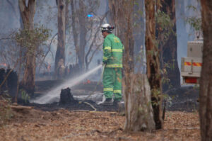 Forest fire