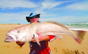 Tagging Unlocks Mulloway Mysteries