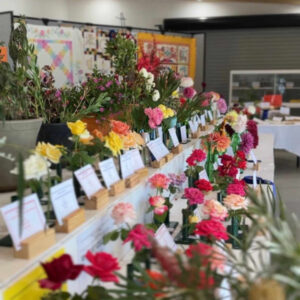 Show exhibits vibrant qualities
