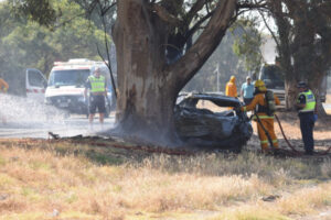 Highway collision fatality