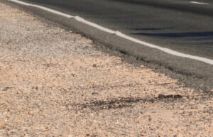 Reedy Lake road repairs needed