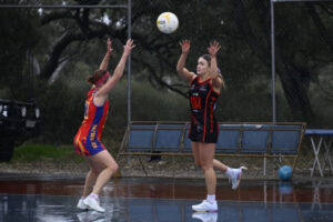 Lions roar to beat Bombers
