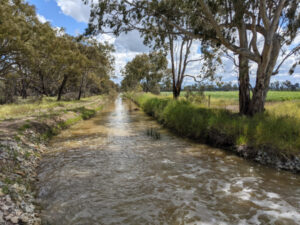 Water starts flowing to fill Lake Meran