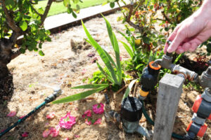 Minimal water savings for Kerang customers