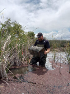 Cod, crays saved from blackwater