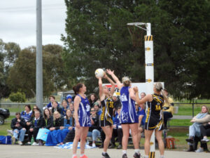 Tigers claw deeper into finals