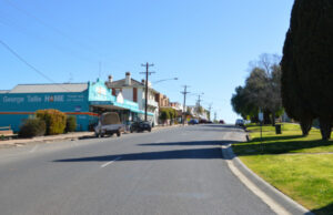 Boort earthquake minor