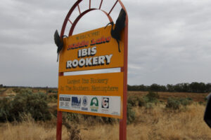 Volunteers plan to reveg ibis rookery