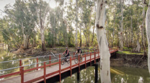 Kerang to Koondrook rail trail