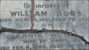 Cemetary records at the finger tips