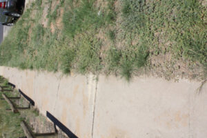 Weeds and pests targeted